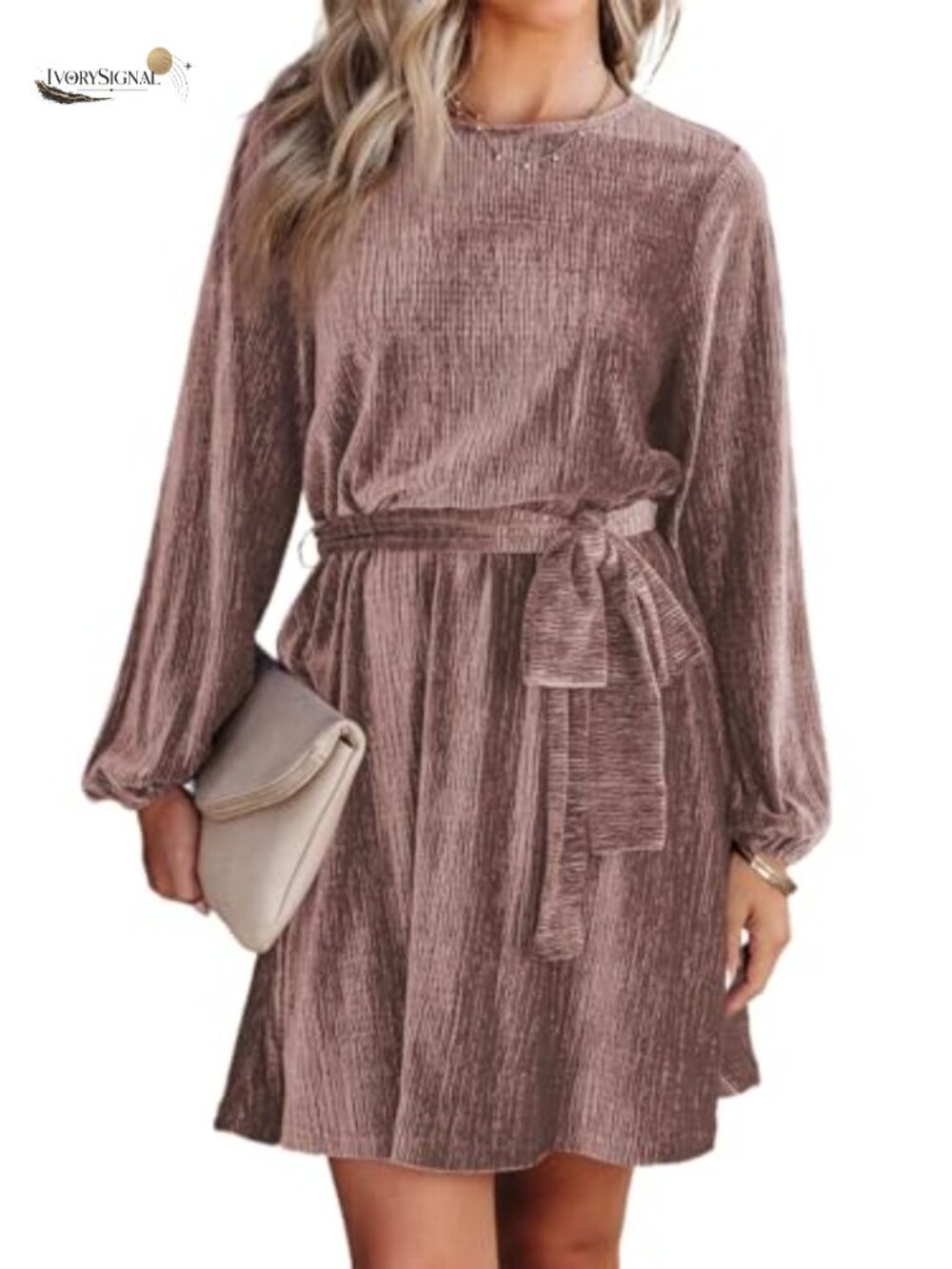 Velvet A-Line Mini Dress Lantern Sleeve High Waist Cocktail Party
